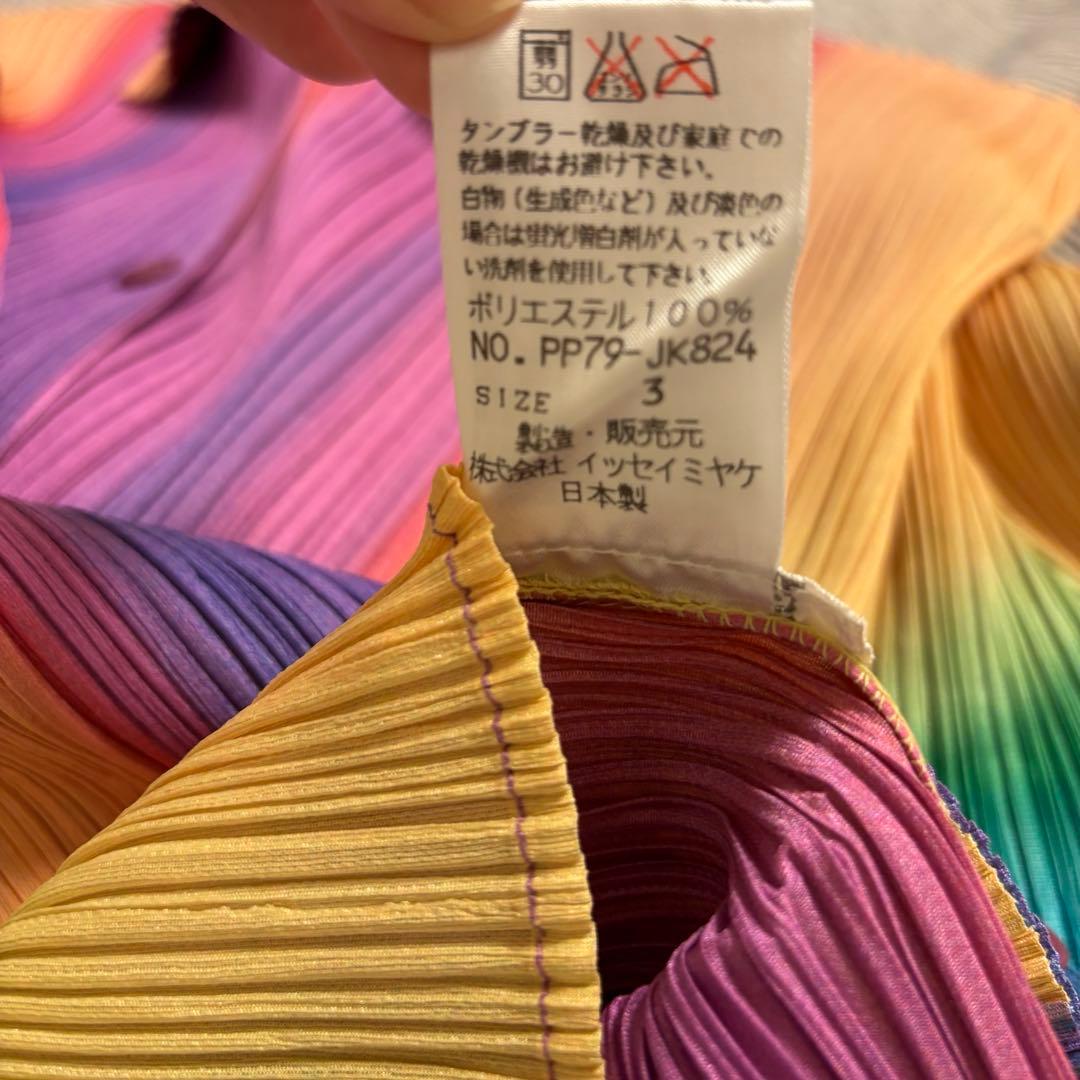 希少！pleatsplease レインボーイッセイミヤケブラウス