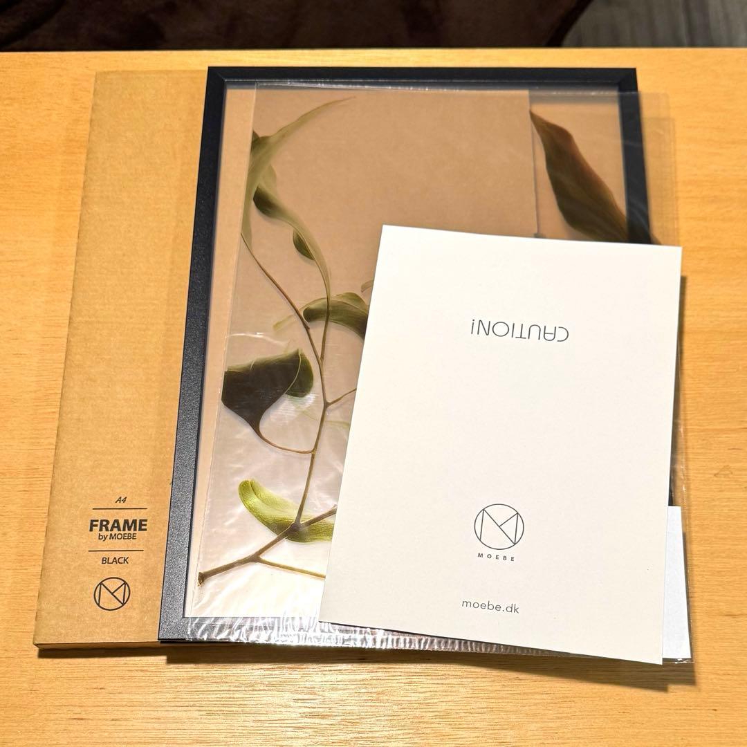 【Paper Collective】 クリアポスターA4＋【MOEBE】フレーム