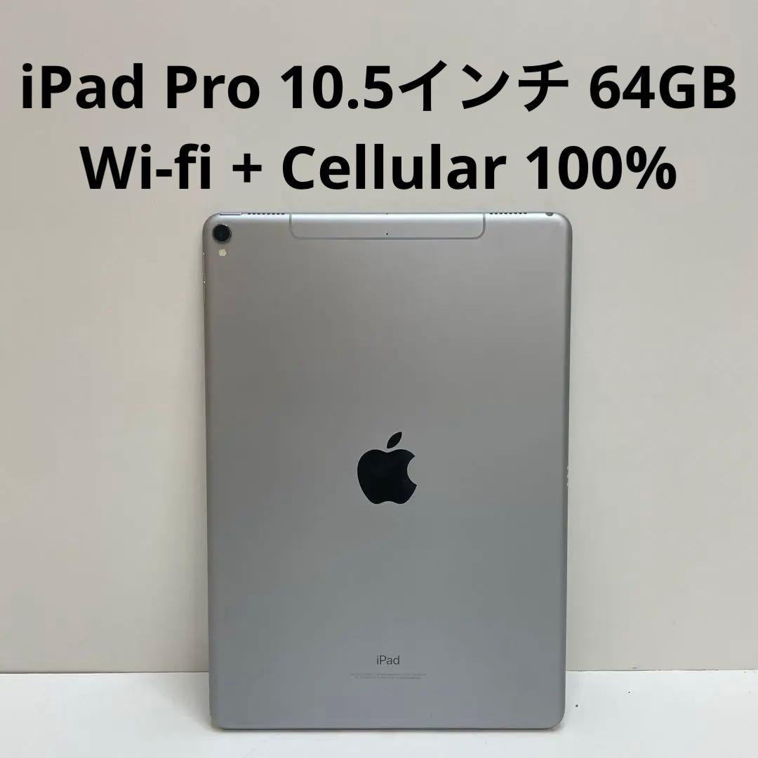 iPad Pro 10.5インチ 64GB Cellular 100%