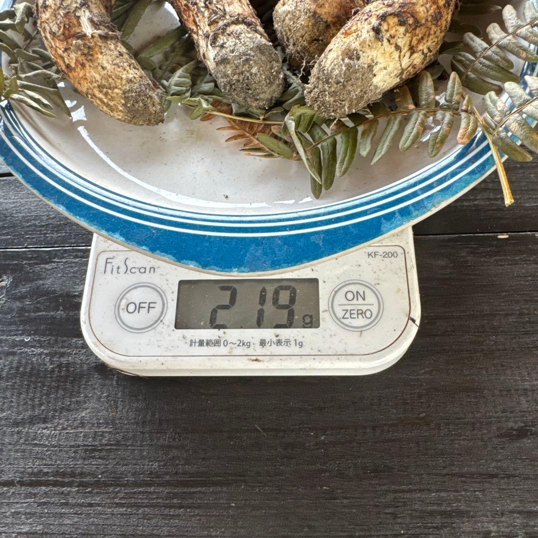 10/15朝採れ南信州産松茸200g