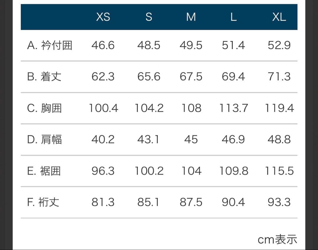 mont-bell プラズマ1000 M シルバー 白 ダウンジャケット