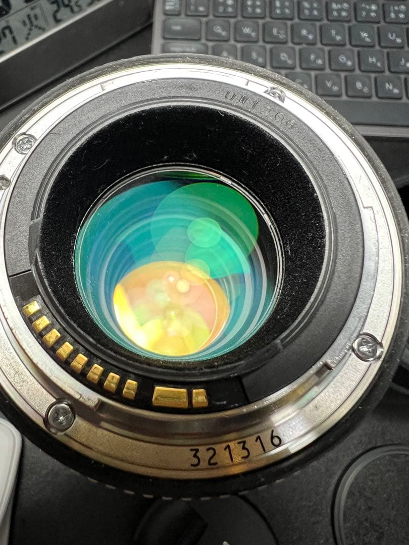 【組合せ最大400mm!】 EF 70-200mm と EXTENDER 2X