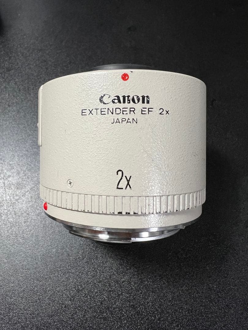 【組合せ最大400mm!】 EF 70-200mm と EXTENDER 2X