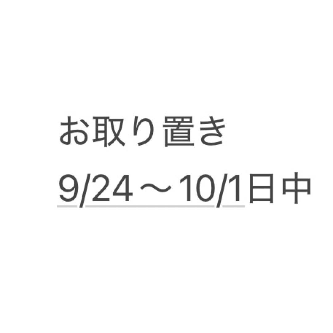 Pt900 バイオレットスピネル　ペントプのみ