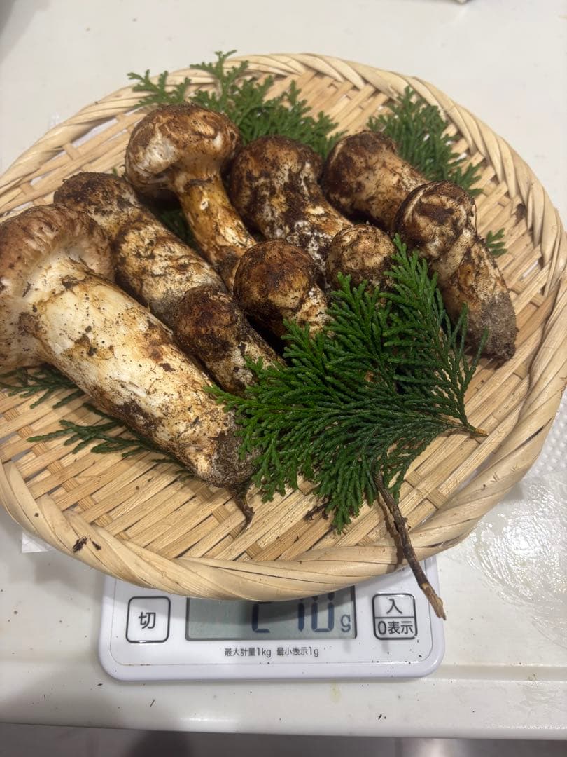 S*O様 信州産　松茸270g