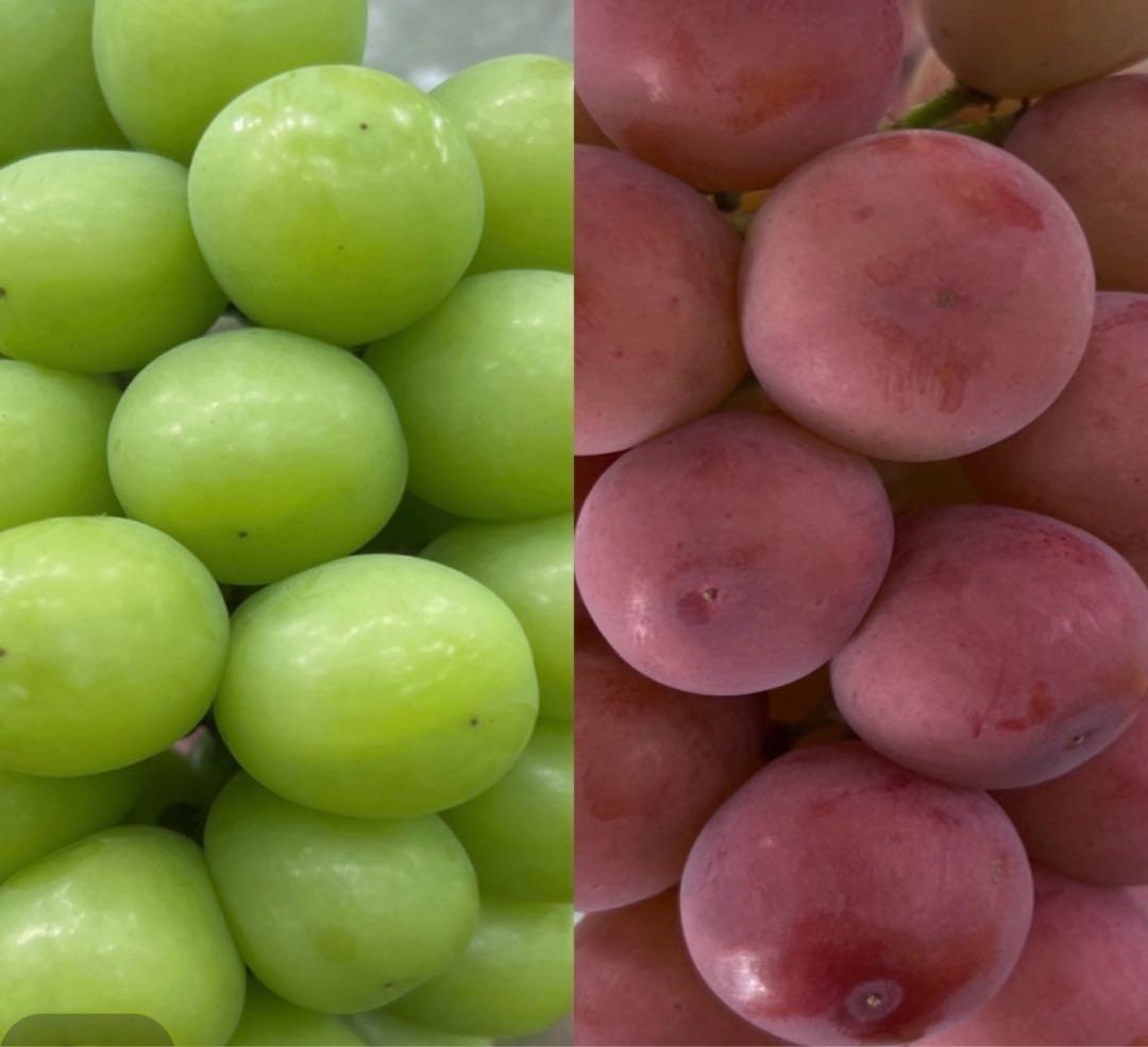 アンブラルさん専用