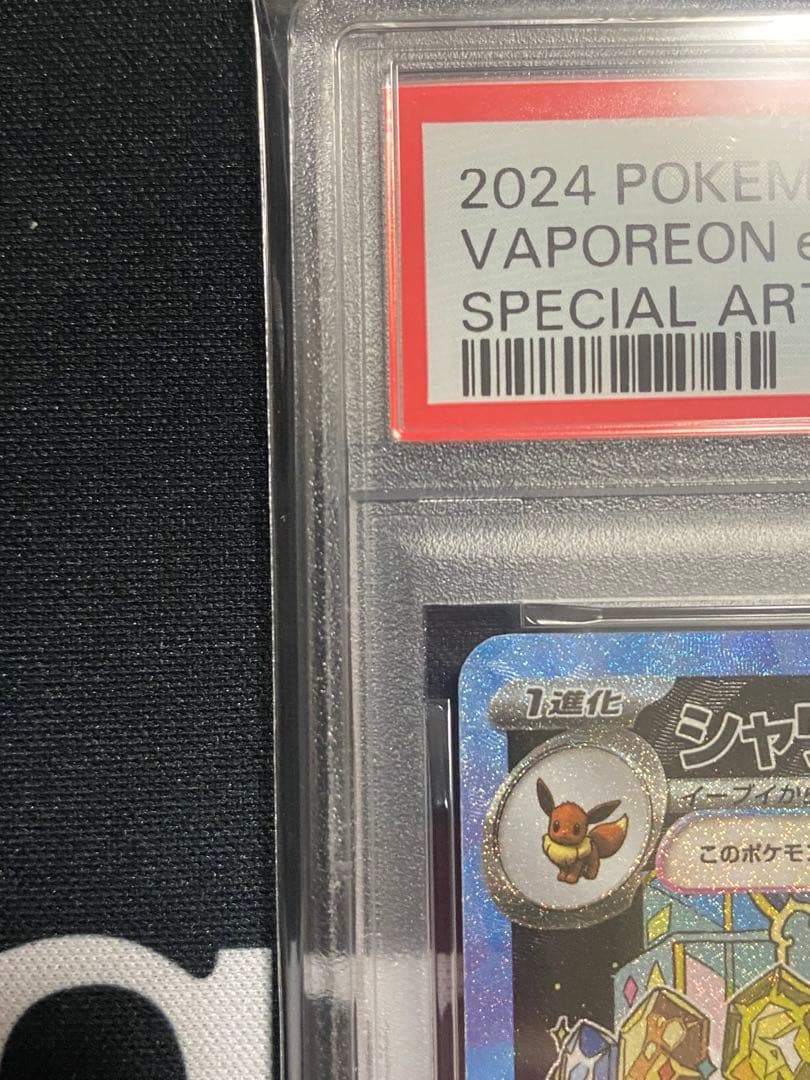 【PSA10】ポケモンカード シャワーズex SAR テラスタルフェスex