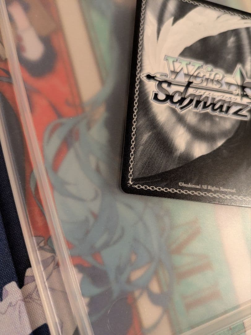 シャルム・シェルシュール 渋谷 凛 ssp