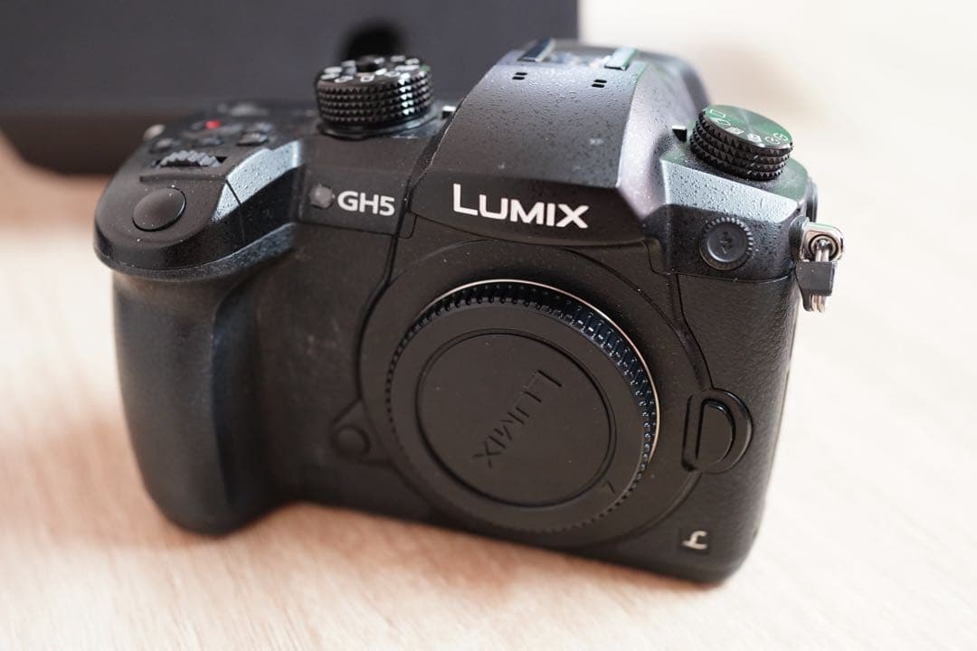 LUMIX GH5 ミラーレスカメラ 本体　箱あり