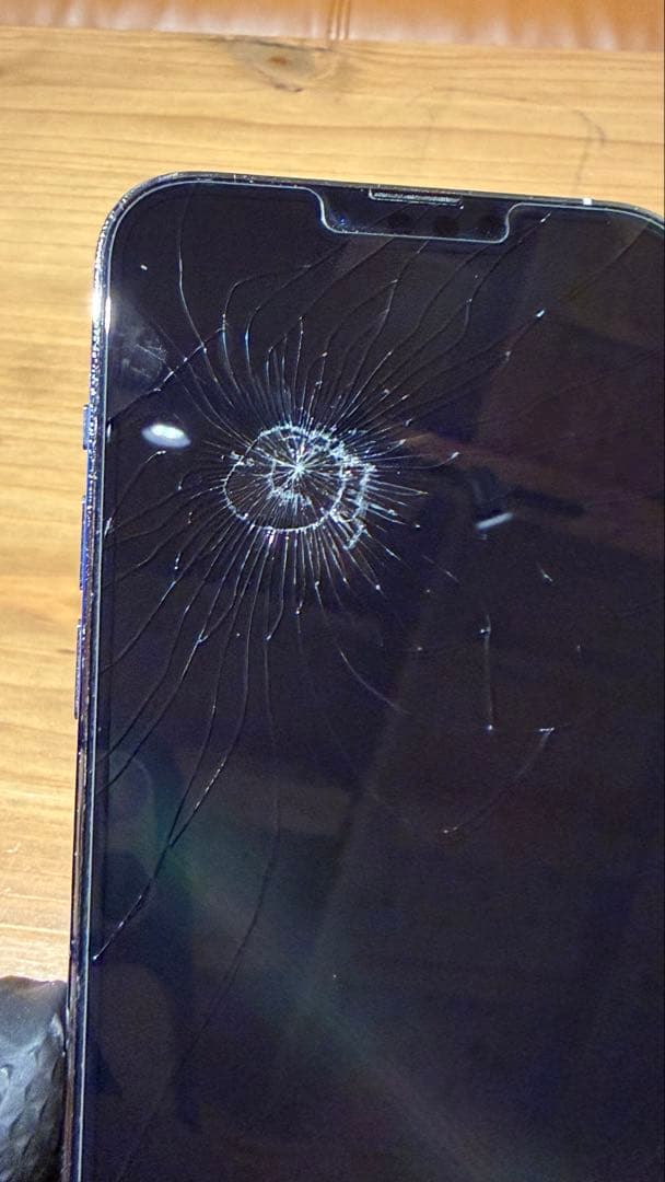 iPhone 13 Pro Max 256GB シルバー