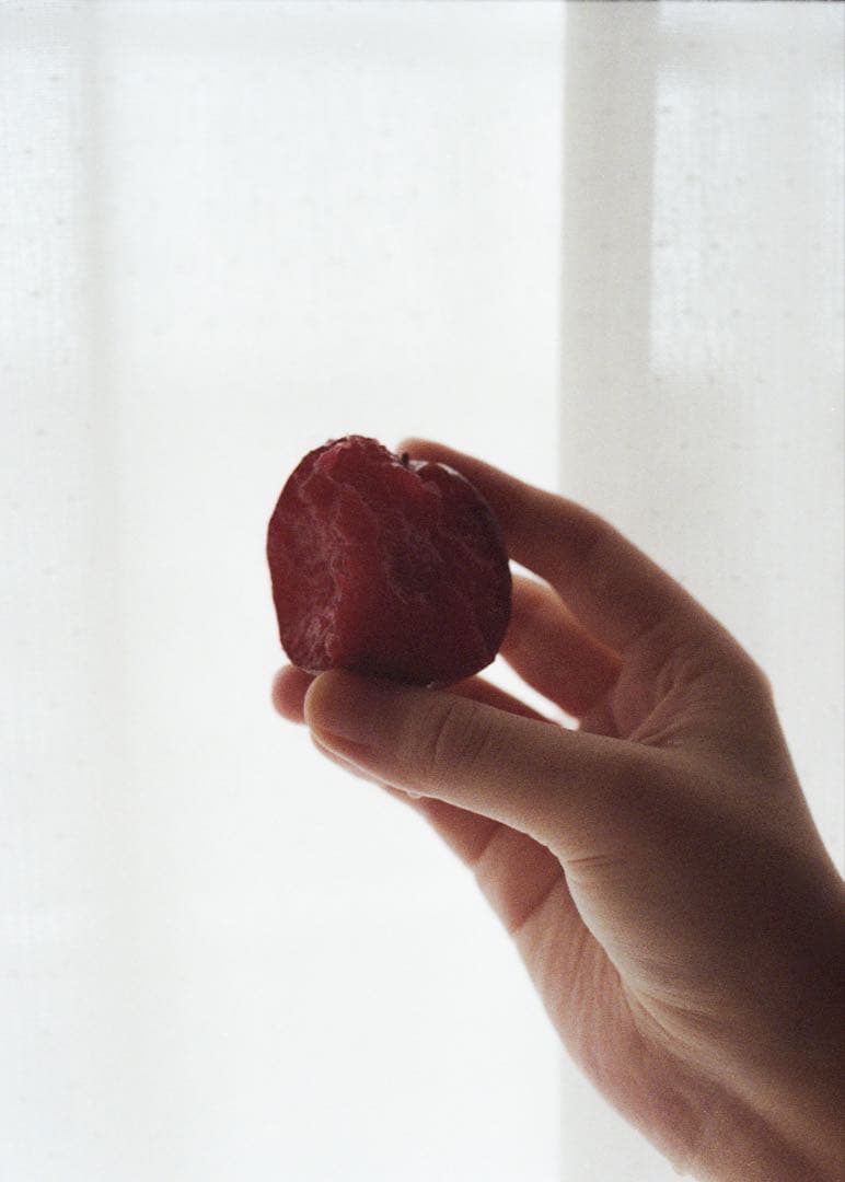 Olympus PEN-FT オーバーホール済 作例あり