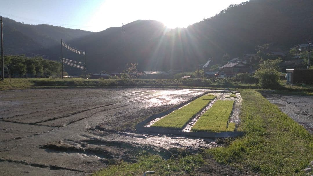 maamyu出品米粉 6.3kg = 900g✕7個