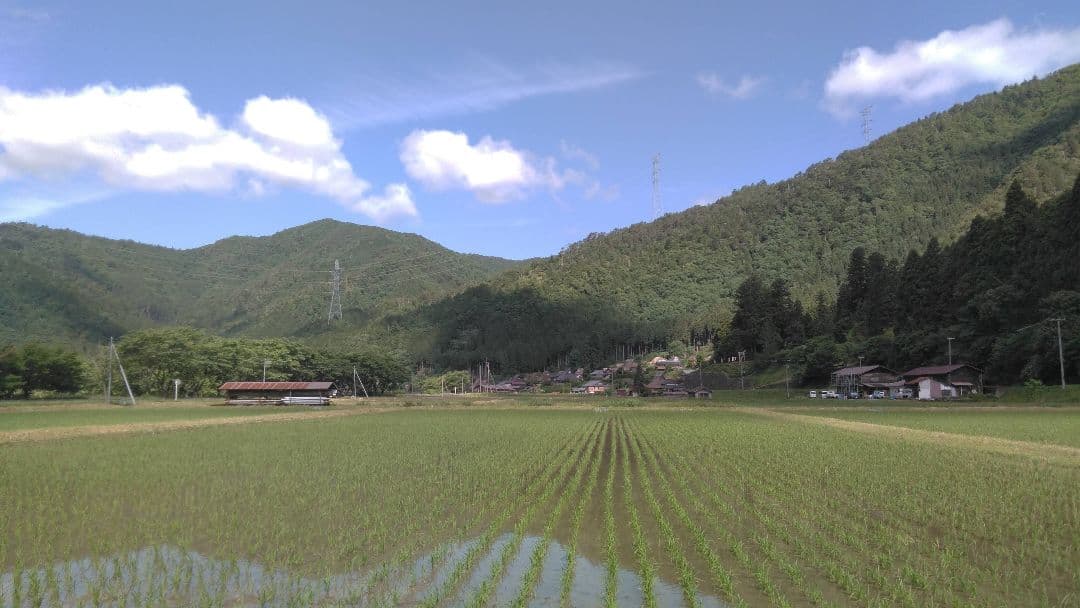 maamyu出品米粉 6.3kg = 900g✕7個