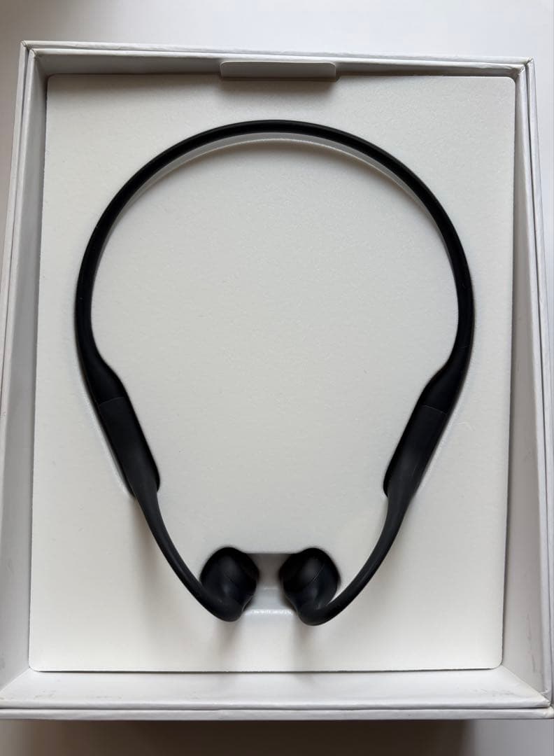 【保証書・レシート付】Shokz OpenRun 骨伝導イヤホン ブラック【美品