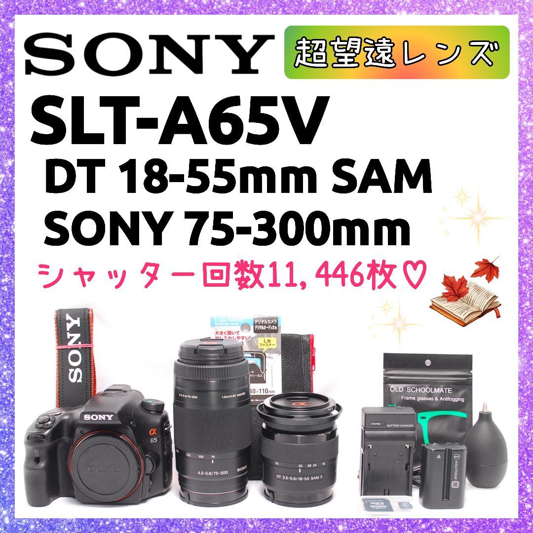 ❤即購入1000円OFF❤ ソニー α65 × 超望遠レンズ ダブルズーム