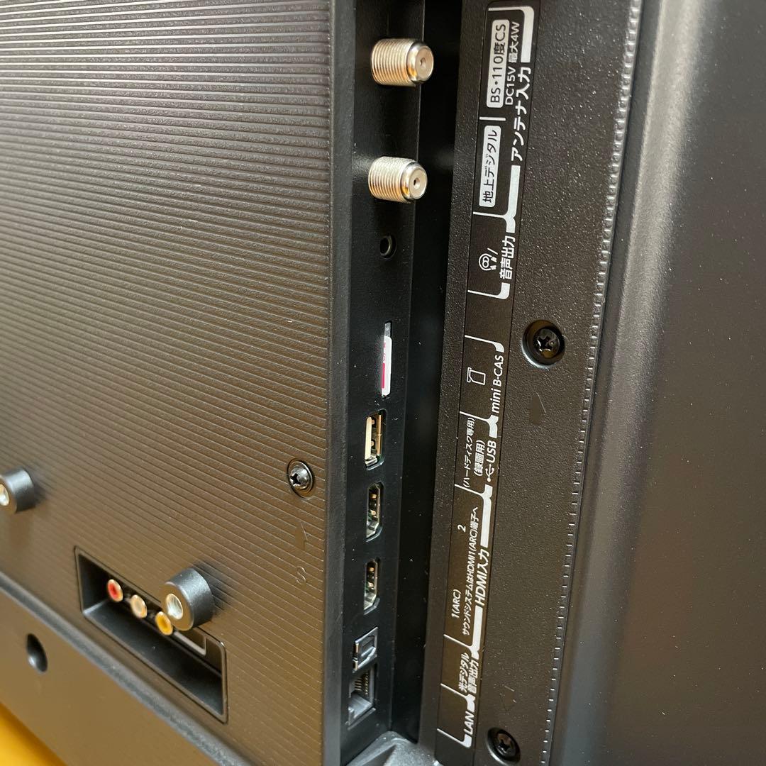 東芝2024年製32型REGZAハイビジョン液晶テレビ 極上品 送料無料