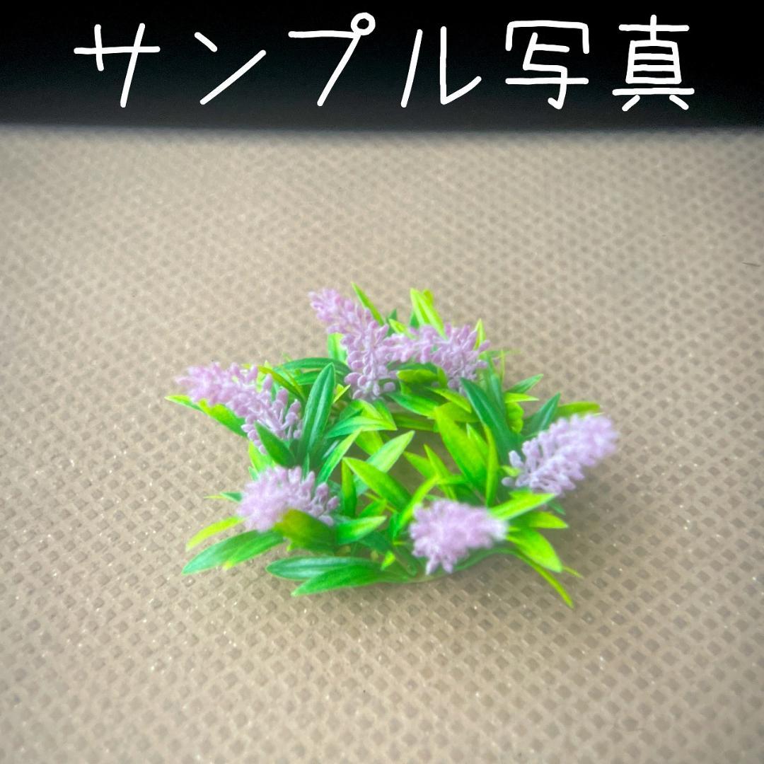 Olympus Pen D フィルムカメラ