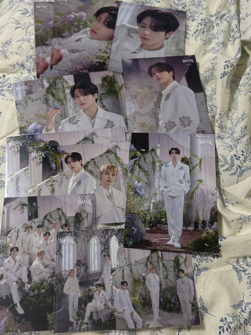 スキズ ハン トレカ 会場限定 味噌 リノ ラキドロ 日本限定 ラントレ セット