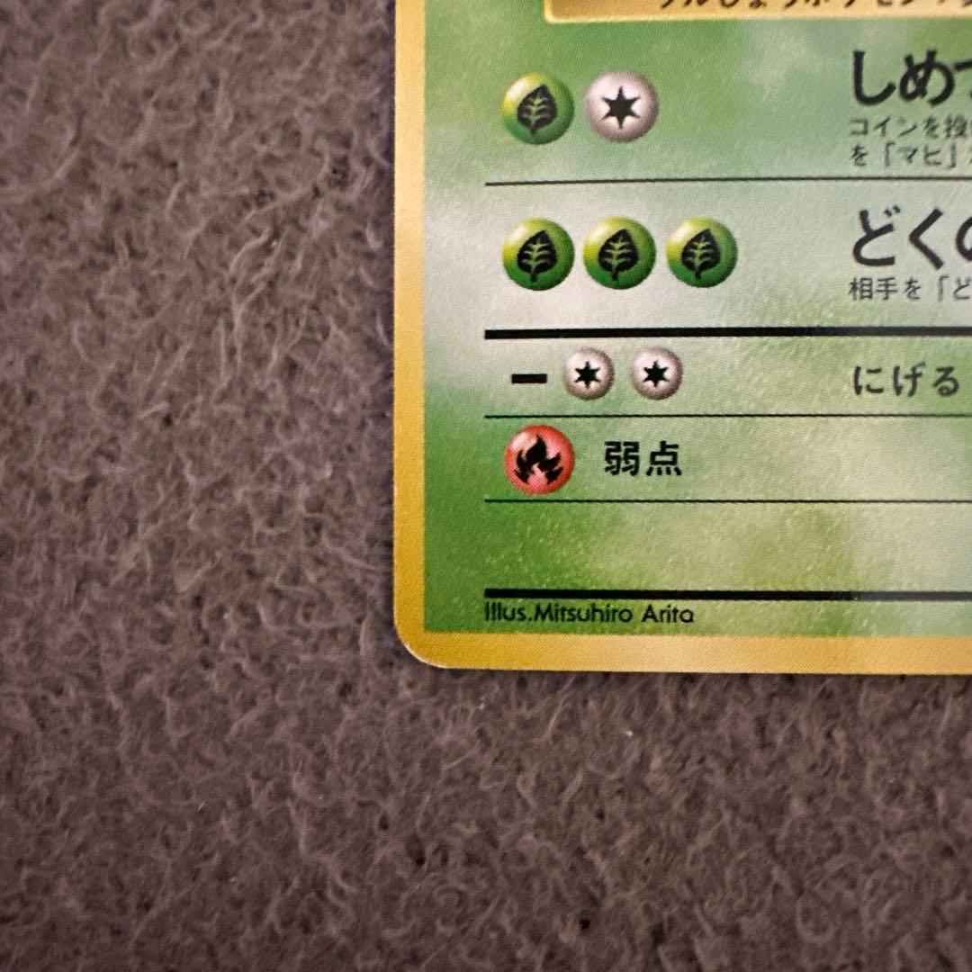 ポケモンカード 旧裏 初版 マークなし モンジャラ HP50 No.114 ②