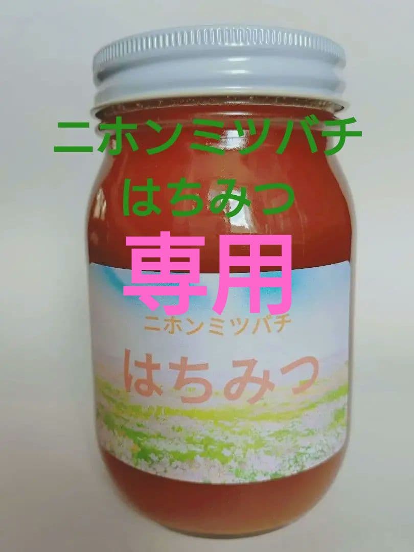 チク　タク　ニホンミツバチ　はちみつ　　信州産　非加熱　580ｇ✕2本