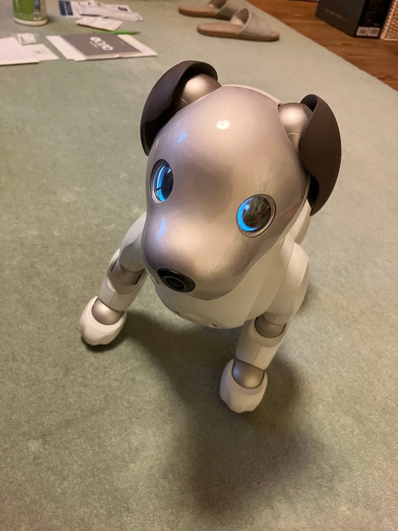aibo アイボ　エンタテインメントロボット ERS-1000