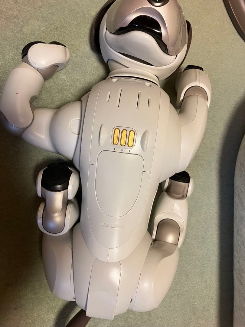 aibo アイボ　エンタテインメントロボット ERS-1000