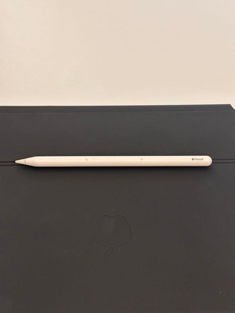 iPad Pro 11インチ Magic KB & apple Pencil付き