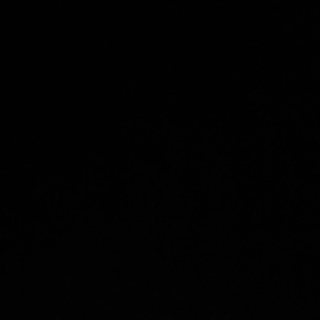 パタゴニア リバーシブル