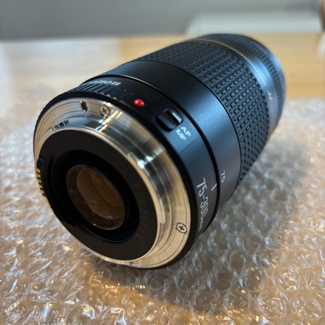 デジタル一眼レフカメラ/Canon EF 75-300㎜ 1:4-5.6 Ⅱ