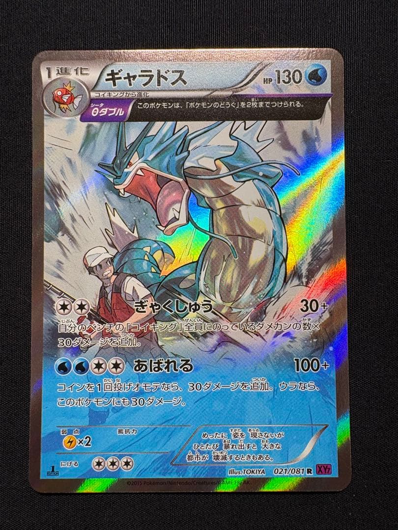 xy7 ギャラドス　021/081