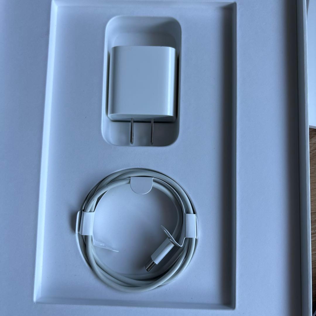 Apple iPad 本体 第4世代　グレー Apple Pencil付き