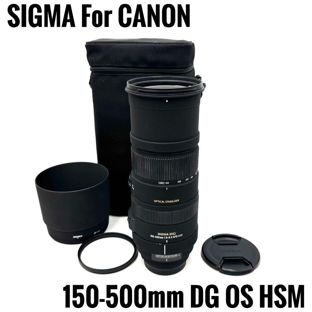 ❁大迫力❁SIGMA DG 150-500mm APO OS HSM CANON