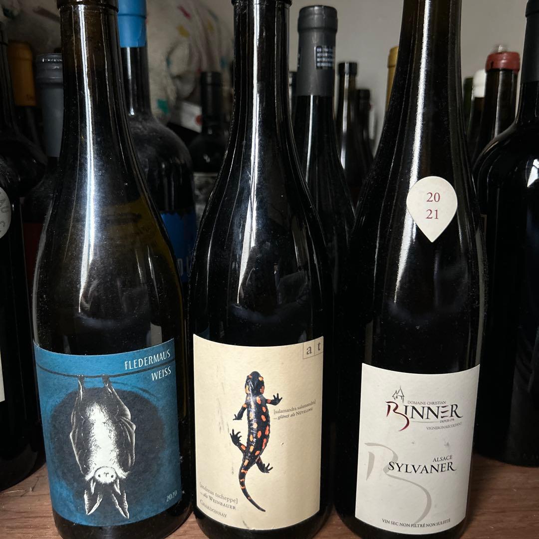 フレデリマウス・ヴァイス、アト、リナー・シルヴァナー 2021