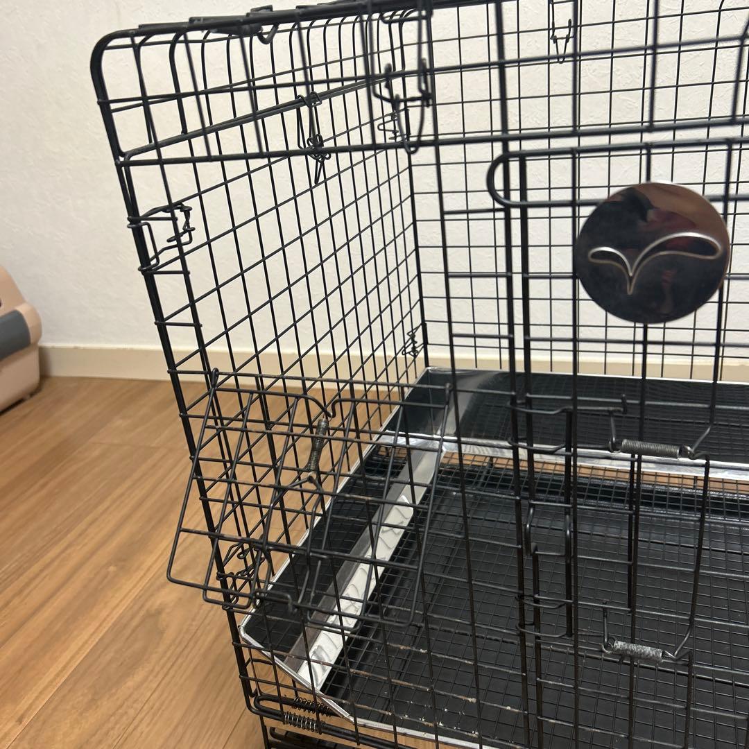 うさぎのしっぽ　プロケージ60 小動物