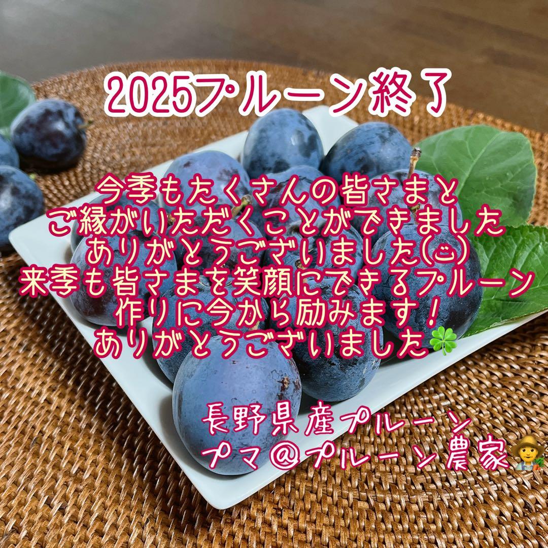 長野県産プルーン　2025終了しました　ありがとうございました(*˙˘˙*)ஐ