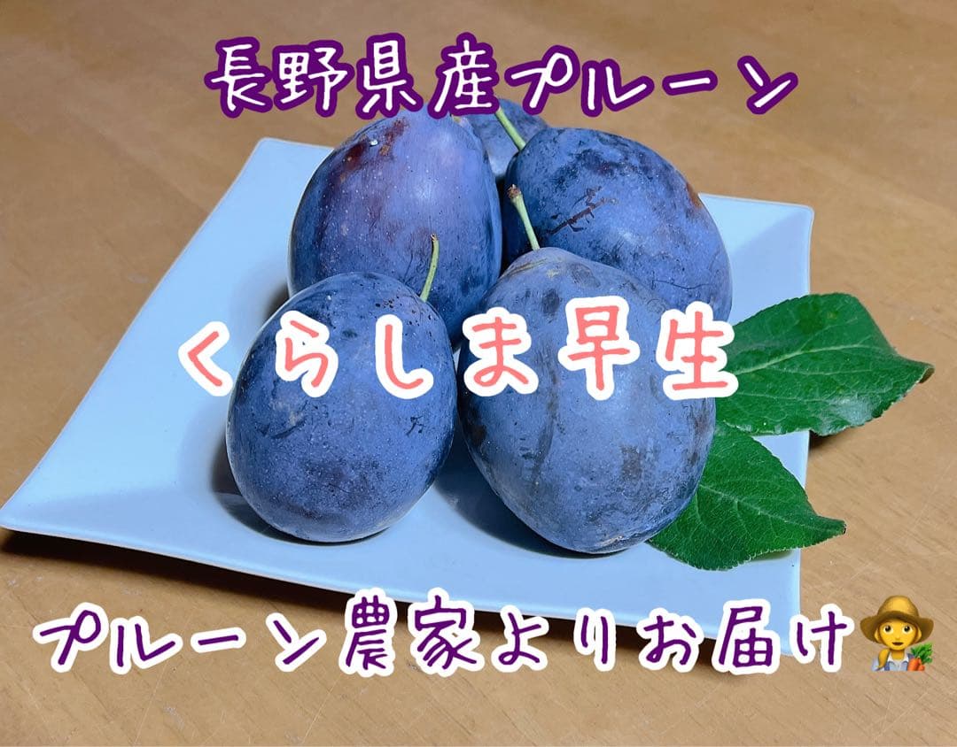 長野県産プルーン　2025終了しました　ありがとうございました(*˙˘˙*)ஐ