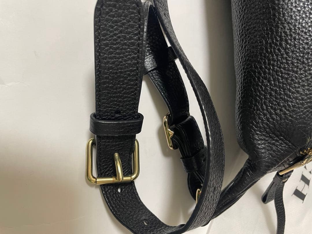 u*6様 人気モデル⭐︎美品　COACH コーチ　ボディバック　シボ革