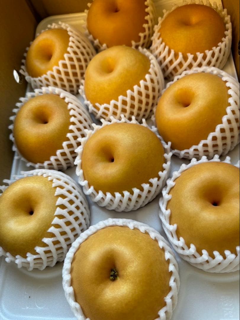 梨　新高梨　10玉を2箱　05