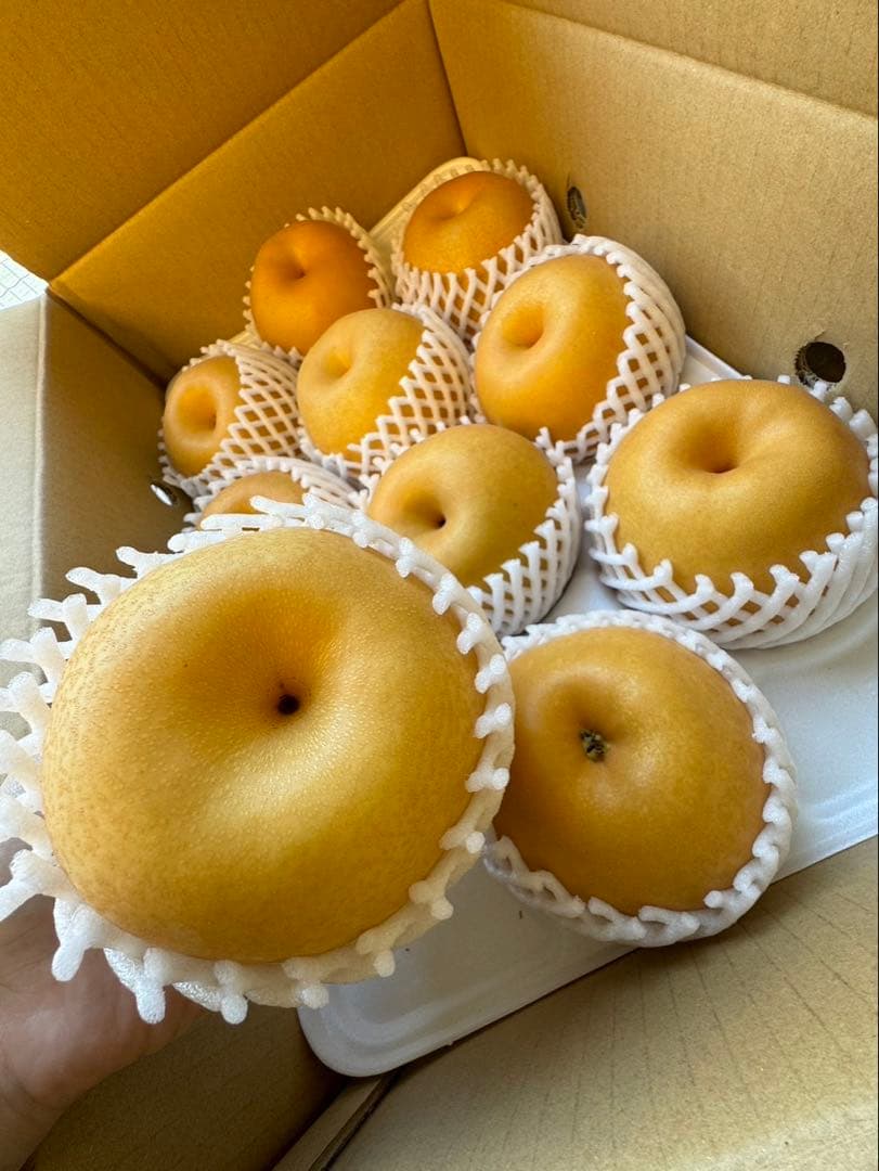 梨　新高梨　10玉を2箱　05