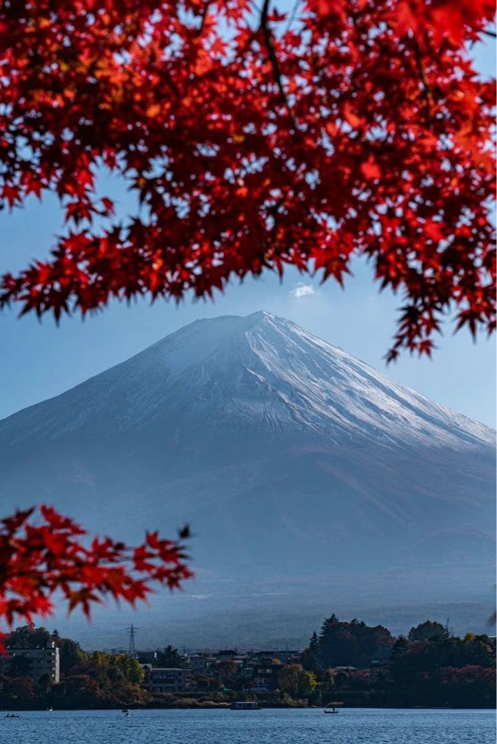 U*i様 美品 SONY FE 24-105mm F4 G OSS（防湿庫保管・