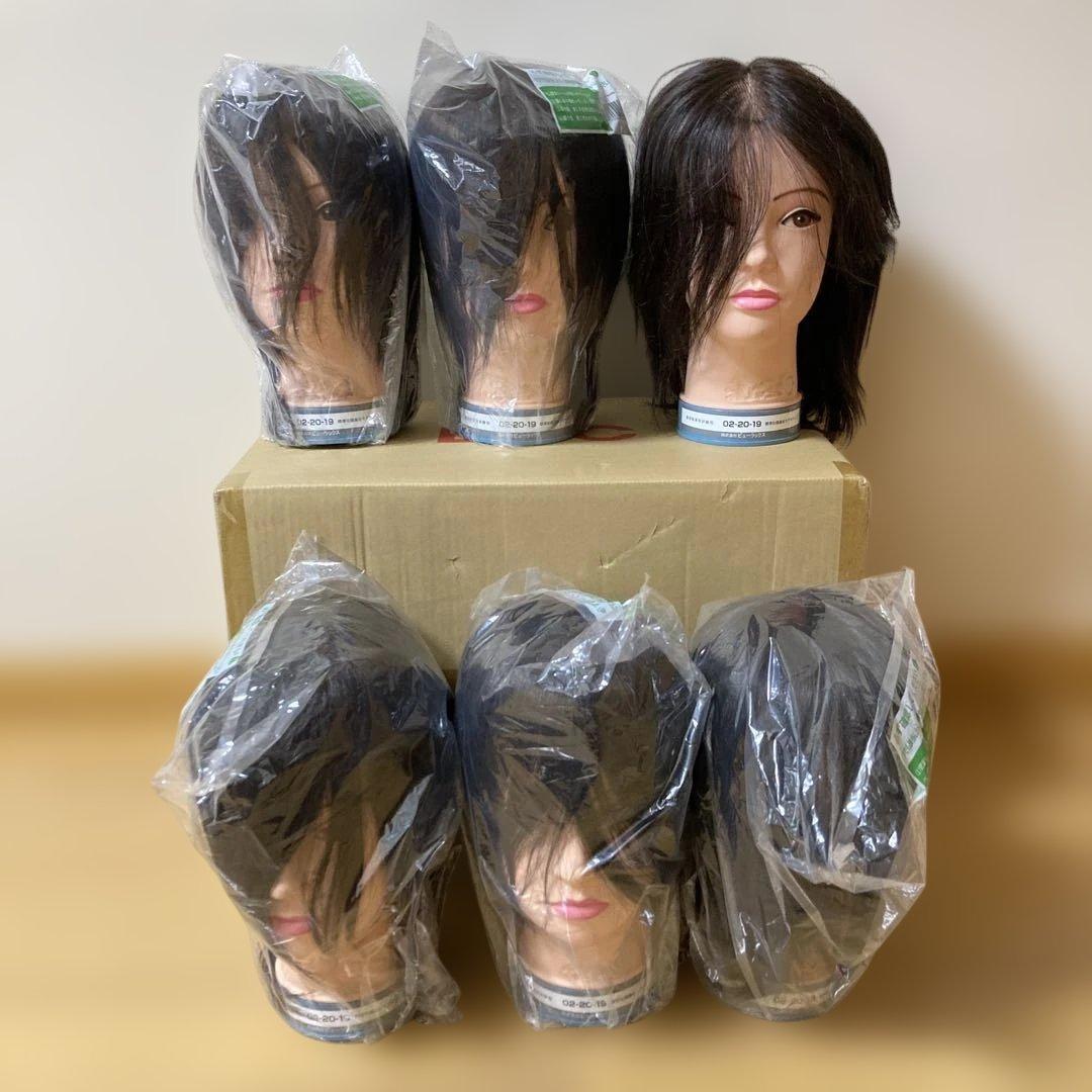 美容師実技試験用　02-20-19 ウィッグ6体セット