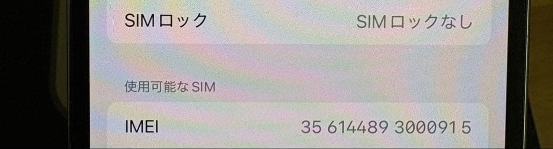 Apple iPhone 13Pro Max本体