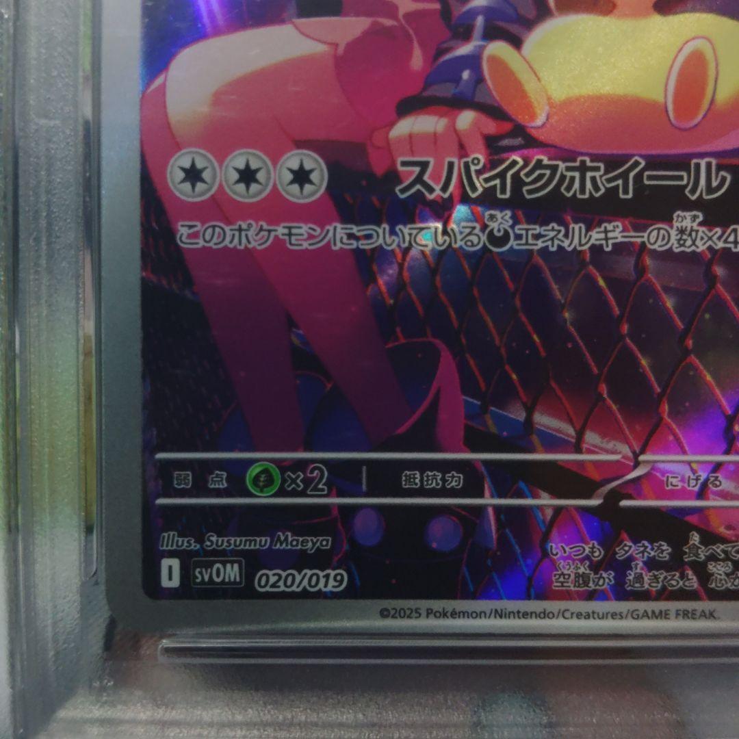 PSA10 マリィのモルペコ AR スターターセットex 020/019