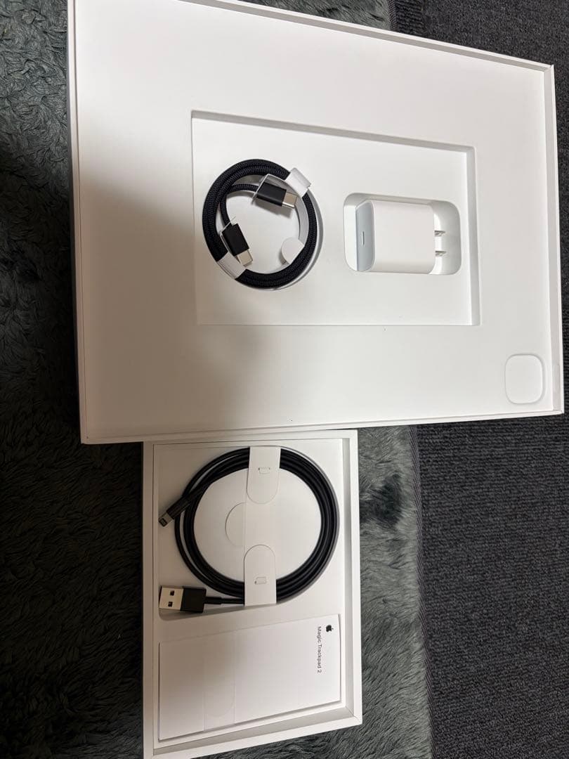 【セット品】iPad Pro M413型 Wi-Fiモデル 1TB 標準ガラス