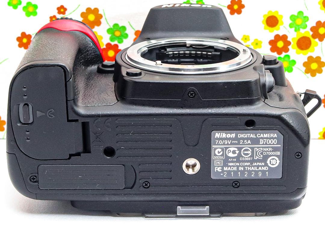 ニコン Nikon D7000☆スマホに転送可♪☆望遠レンズ付き☆一眼レフ
