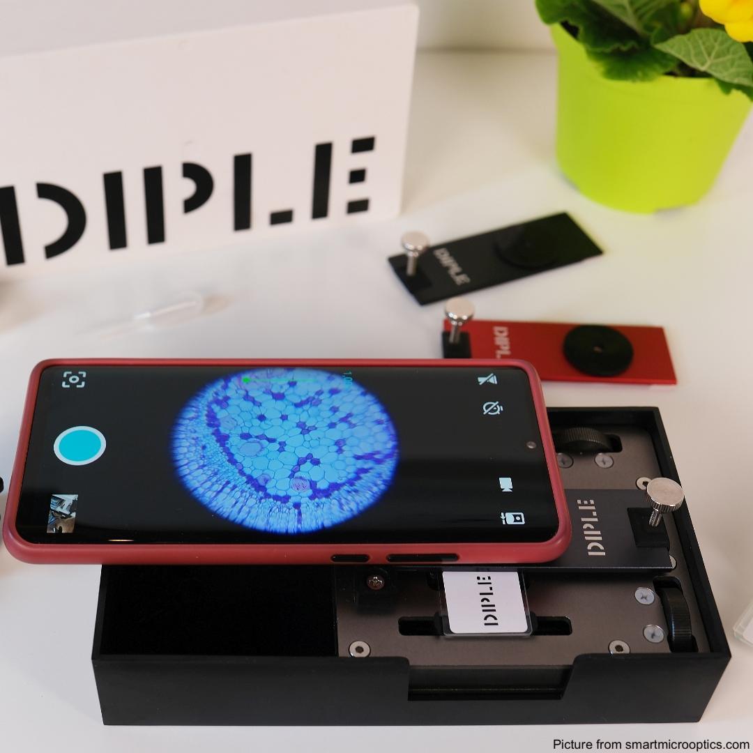 スマホアクセサリー DIPLE BF (Black & Fine Stage)