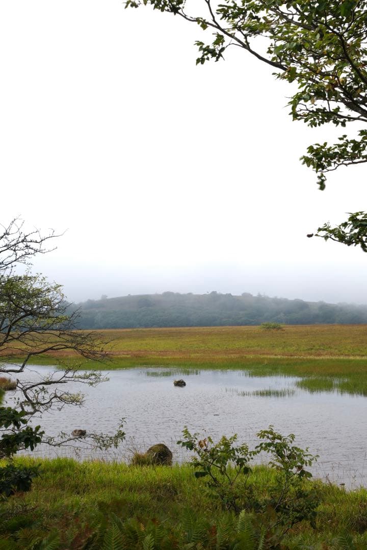 FUJIFILM (富士フィルム) X-T50 シルバー 保証書付き