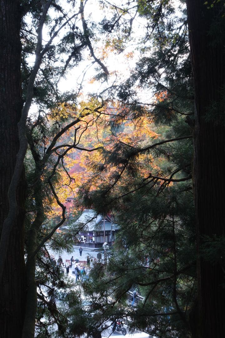 FUJIFILM (富士フィルム) X-T50 シルバー 保証書付き