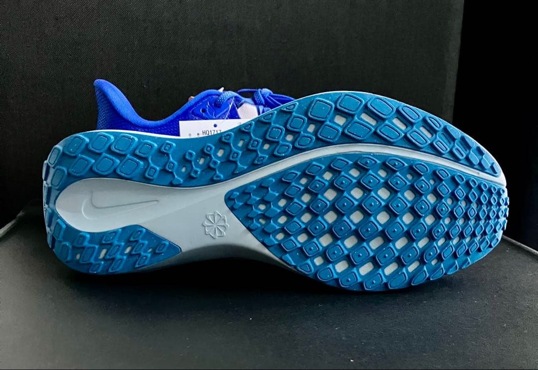 （廃番カラー、完全未使用品）NIKE エアズーム ペガサス 41