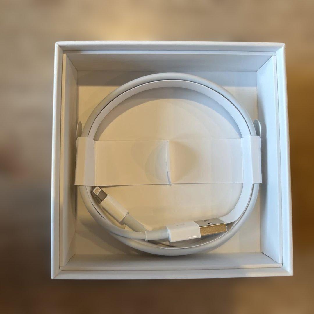 Apple AirPods 本体　第3世代